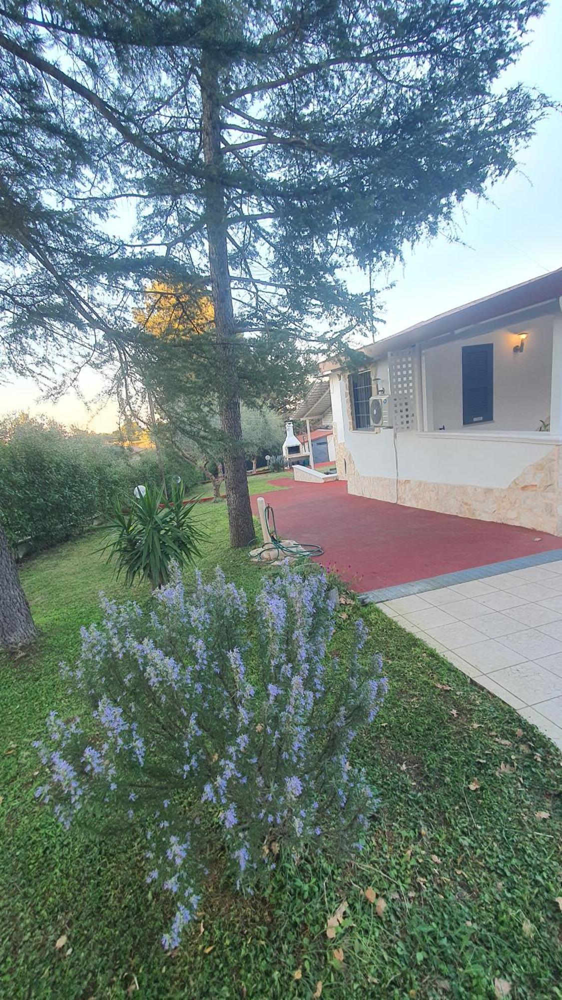 Mercadante - Luxury Holiday House Cassano delle Murge Exteriör bild