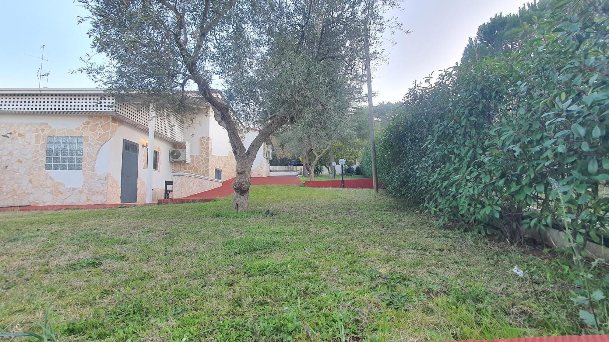 Mercadante - Luxury Holiday House Cassano delle Murge Exteriör bild